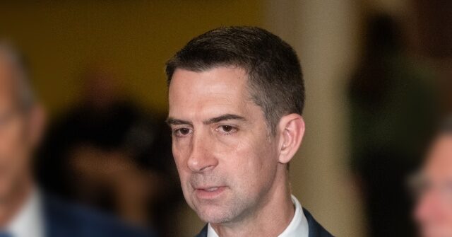 tom-cotton-calls-out-u-visa-program-as-‘de-facto-amnesty’-for-illegal-aliens