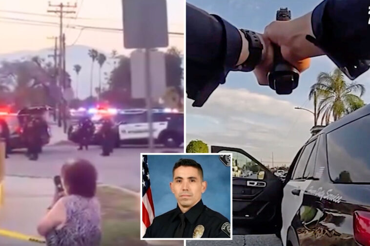 chilling-video-reveals-moment-hero-cop-is-gunned-down-in-broad-daylight