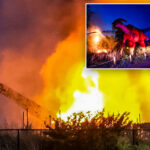 lightning-strike-turns-100-foot-dinosaur-into-raging-fireball,-stunning-onlookers