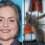 sicko-pleads-guilty-to-paying-for-sexual-torture-videos-involving-monkeys-for-online-group:-‘sick-person’