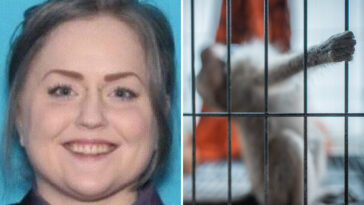 sicko-pleads-guilty-to-paying-for-sexual-torture-videos-involving-monkeys-for-online-group:-‘sick-person’