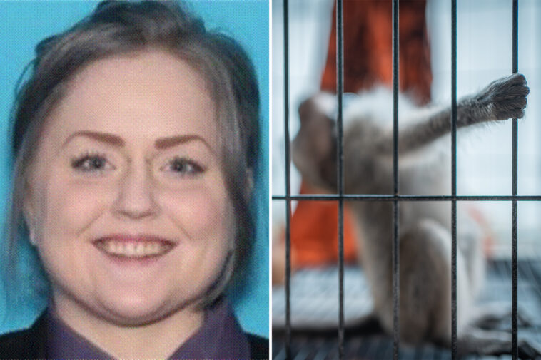 sicko-pleads-guilty-to-paying-for-sexual-torture-videos-involving-monkeys-for-online-group:-‘sick-person’