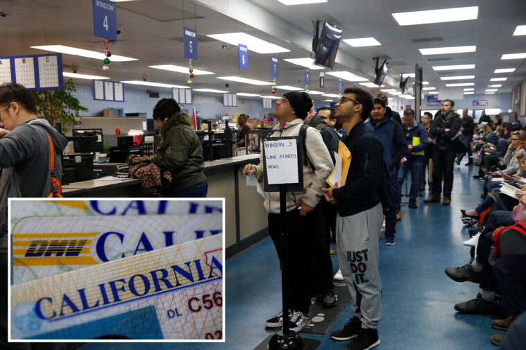 liberals-have-epic-meltdown-as-california-dmv-hands-over-driver-license-data-to-feds