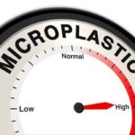 mccullough-foundation-on-the-dangers-of-microplastics-–-and-how-to-get-them-out-of-your-system