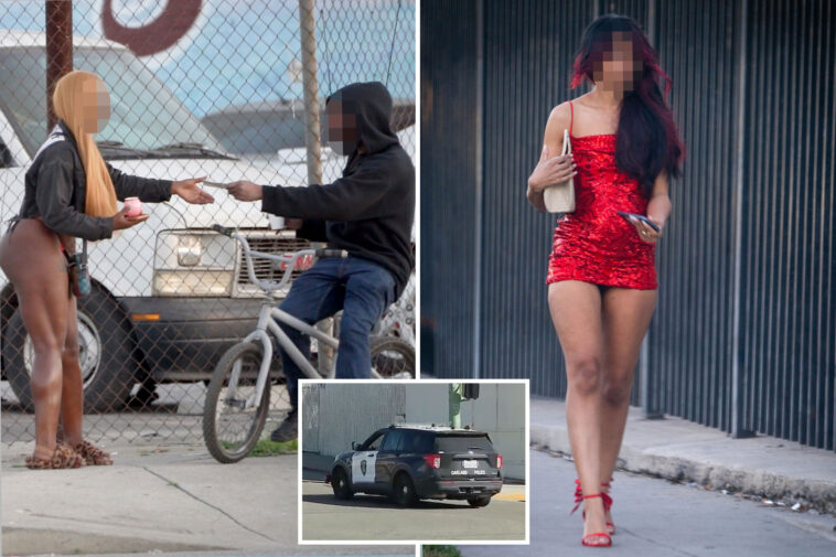 major-california-city-takes-drastic-action-to-curb-street-prostitution