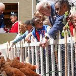 king-charles-visits-urban-farm,-feeds-chickens-on-rare-nyc-visit