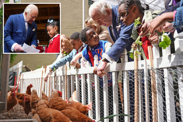 king-charles-visits-urban-farm,-feeds-chickens-on-rare-nyc-visit