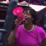 crazy-video:-florida-democrat-rep.-angie-nixon-storms-house-aisle-with-pink-bullhorn-screaming-‘violation-of-the-constitution!’-as-desantis’-redistricting-map-passes