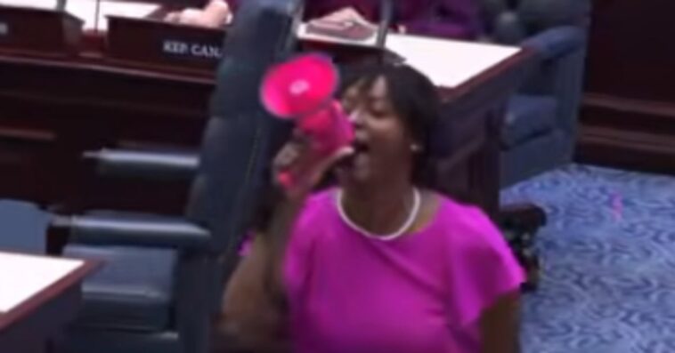 crazy-video:-florida-democrat-rep.-angie-nixon-storms-house-aisle-with-pink-bullhorn-screaming-‘violation-of-the-constitution!’-as-desantis’-redistricting-map-passes