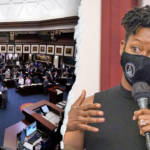 watch:-chaos-erupts-as-florida-dem-in-pink-jumpsuit-grabs-bullhorn-mid-vote:-‘it’s-illegal!’