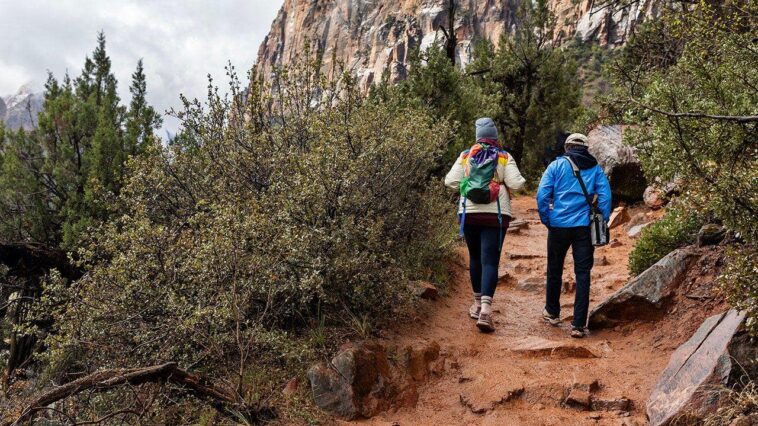 2-mystery-deaths-at-zion-national-park-prompt-urgent-questions-about-visitor-safety