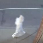 rhode-island-police-launch-investigation-after-video-shows-figure-in-apparent-kkk-robes-roaming-public-area