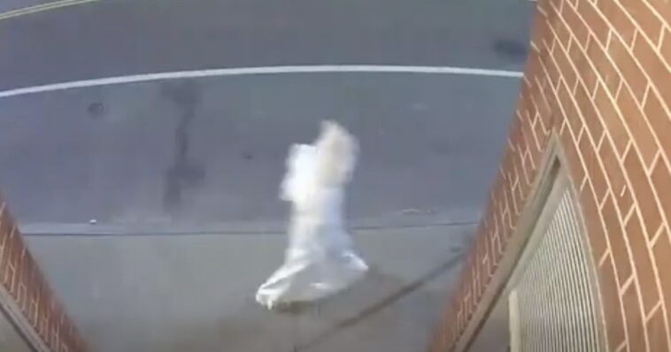 rhode-island-police-launch-investigation-after-video-shows-figure-in-apparent-kkk-robes-roaming-public-area