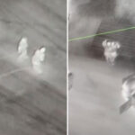 copper-wire-theft-epidemic-sinks-to-shocking-new-low-in-staggering-footage