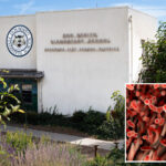 outbreak-of-centuries-old-bacterial-disease-plagues-pasadena-school