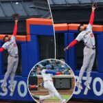 mets’-juan-soto-robbed-of-home-run-on-ridiculous-james-wood-catch