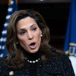 republican-strategist-launches-pac-to-defeat-gop-amnesty-advocates