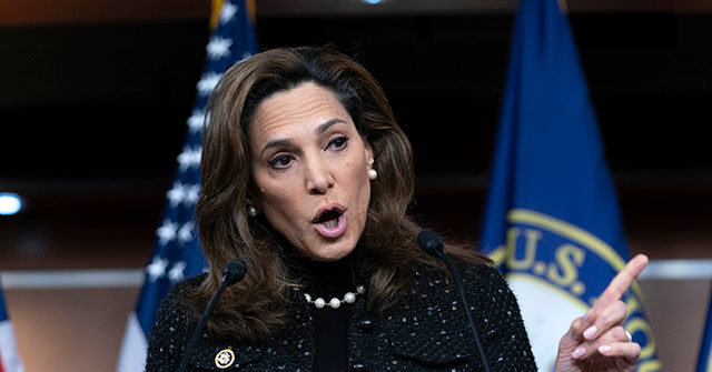 republican-strategist-launches-pac-to-defeat-gop-amnesty-advocates