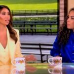 watch:-alina-habba-teaches-‘the-view’-co-hosts-a-lesson-when-they-try-to-downplay-comey-indictment