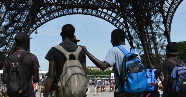 french-academic-praises-mass-migration-from-africa-as-a-‘great-irrigation’-of-society