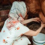 the-new-book-that-treats-traditional-wives-like-the-enemy