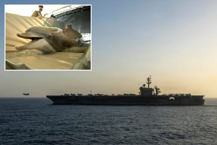 iran-eyeing-mine-carrying-dolphins-to-attack-us-warships-in-strait-of-hormuz