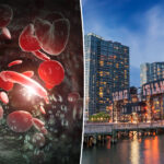 long-island-has-a-‘high-burden’-for-a-common-blood-disorder:-new-study