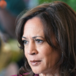 nolte:-saxophone-player-sleeps-while-kamala-harris-speaks