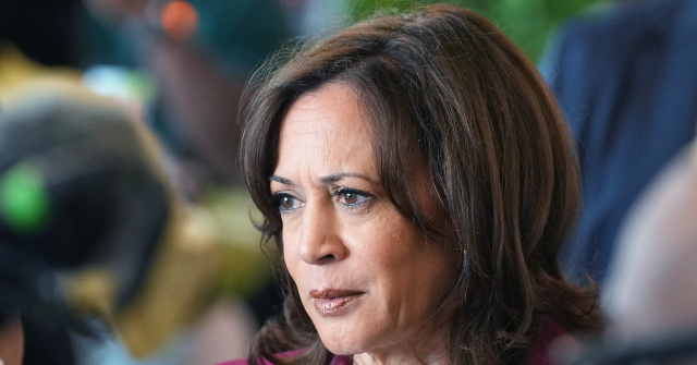 nolte:-saxophone-player-sleeps-while-kamala-harris-speaks