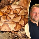 copperhead-snake-bite-leaves-mayor’s-wife-in-‘excruciating-pain,’-he-reveals