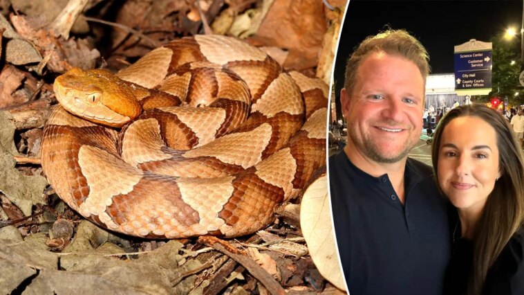 copperhead-snake-bite-leaves-mayor’s-wife-in-‘excruciating-pain,’-he-reveals