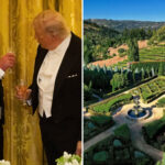 huge-boost-for-dying-napa-valley-as-king-charles-spotted-drinking-local-chardonnay