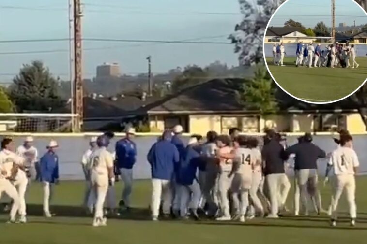 walk-off-celebration-turns-violent-in-la-salle-bishop-amat-hs-baseball-game