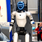 dancing-robot-delays-oakland–san-diego-flight-after-southwest-confiscates-its-oversized-batteries
