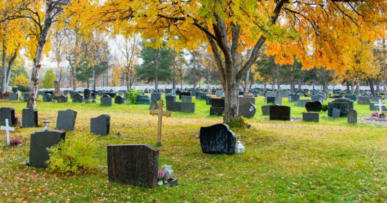 man-charged-after-robbing-bones-from-hundreds-of-graves