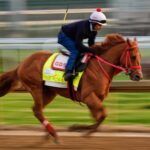 the-puma-scratched-from-kentucky-derby-due-to-swelling-in-leg
