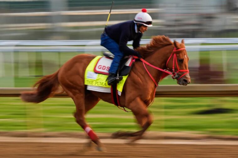 the-puma-scratched-from-kentucky-derby-due-to-swelling-in-leg