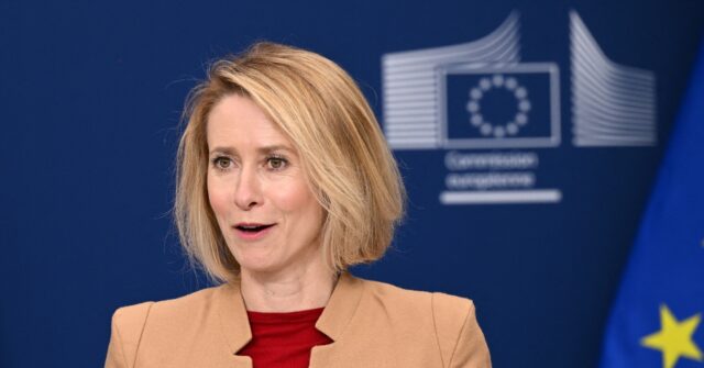 eu-should-not-‘humiliate’-itself-with-direct-russia-talks,-top-diplomat-says