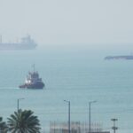 iran-considers-using-dolphins-in-fight-against-us:-report