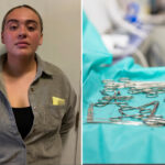 deranged-social-media-veterinarian-posts-clips-performing-deadly-medical-procedures-on-pets