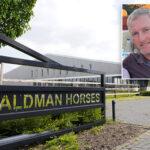 california-dad-claims-dutch-horse-trader-knowingly-sold-lame-$475k-equine