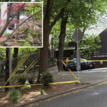 deranged-man-drives-car-packed-with-explosives-into-oregon-club