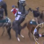 great-white-gets-scratched-from-kentucky-derby-just-before-race-after-jockey-gets-thrown