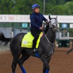 kentucky-derby-horse-scratched-after-throwing-jockey-while-getting-loaded-into-starting-gate