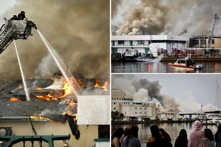 massive-fire-engulfs-science-lab-at-university-of-south-florida-st.-petersburg:-‘total-devastation’