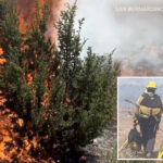 rare-‘ash-devil’-spotted-during-socal-wildfire