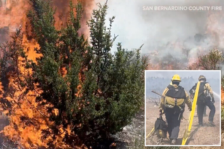 rare-‘ash-devil’-spotted-during-socal-wildfire