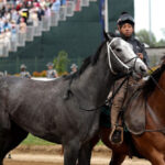 watch:-great-white-scratched-from-kentucky-derby-after-throwing-rider-in-scary-scene