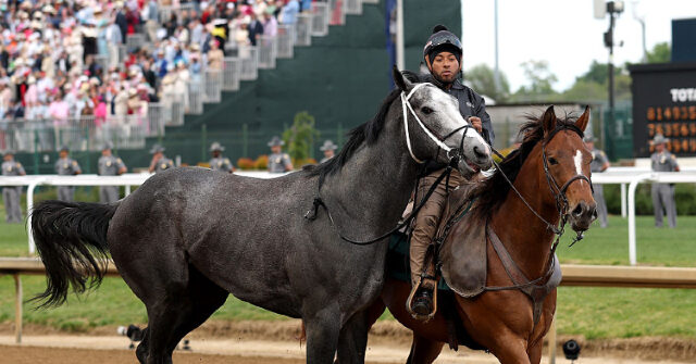 watch:-great-white-scratched-from-kentucky-derby-after-throwing-rider-in-scary-scene