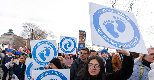 federal-appeals-court-blocks-fda-rule-allowing-mail-order-abortion-pills
